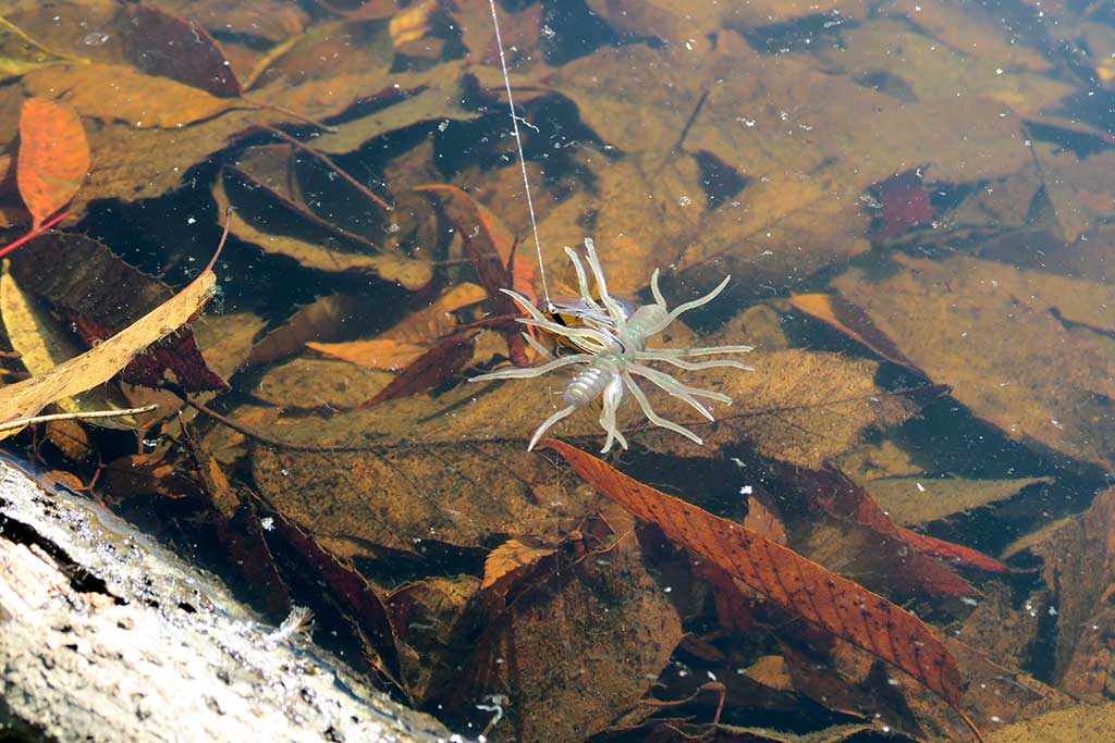 コイケサンダーエラストマー（ノーマルサイズ）