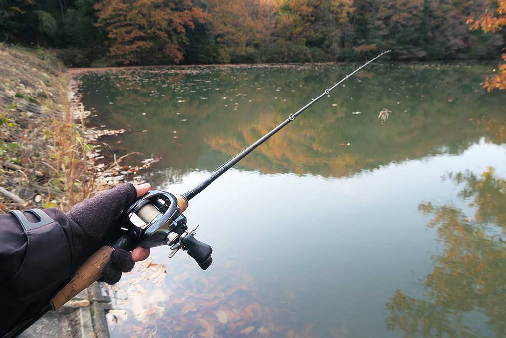 ベイトフィネスタックル