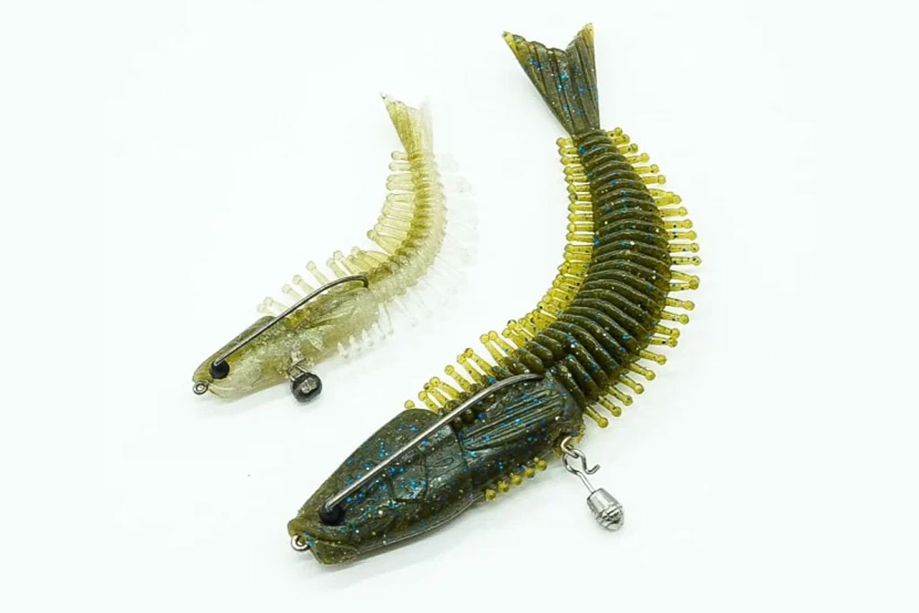 フィーラカンス(お魚セッティング)